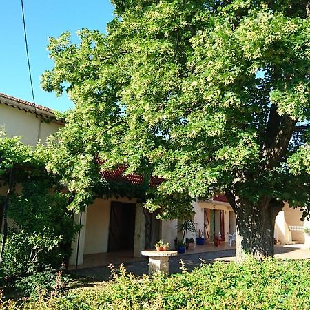 Les Prairies Mas Roux Pension Raphèle Buitenkant foto